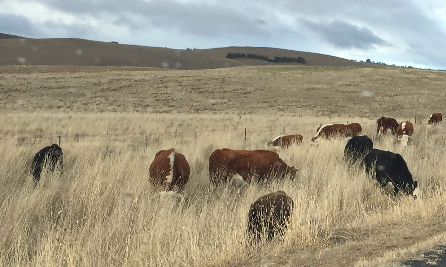 Support Farmers Right to Farm Post image