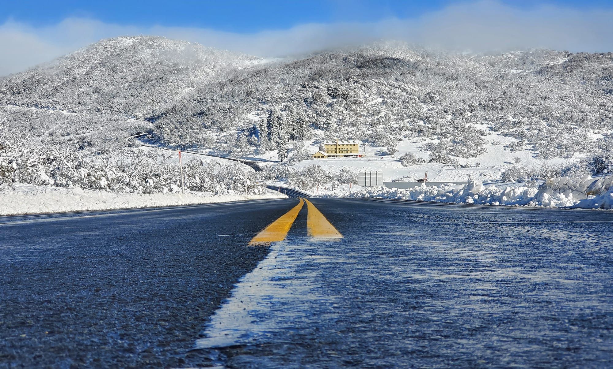 New trial bus service for snowfields access Post image