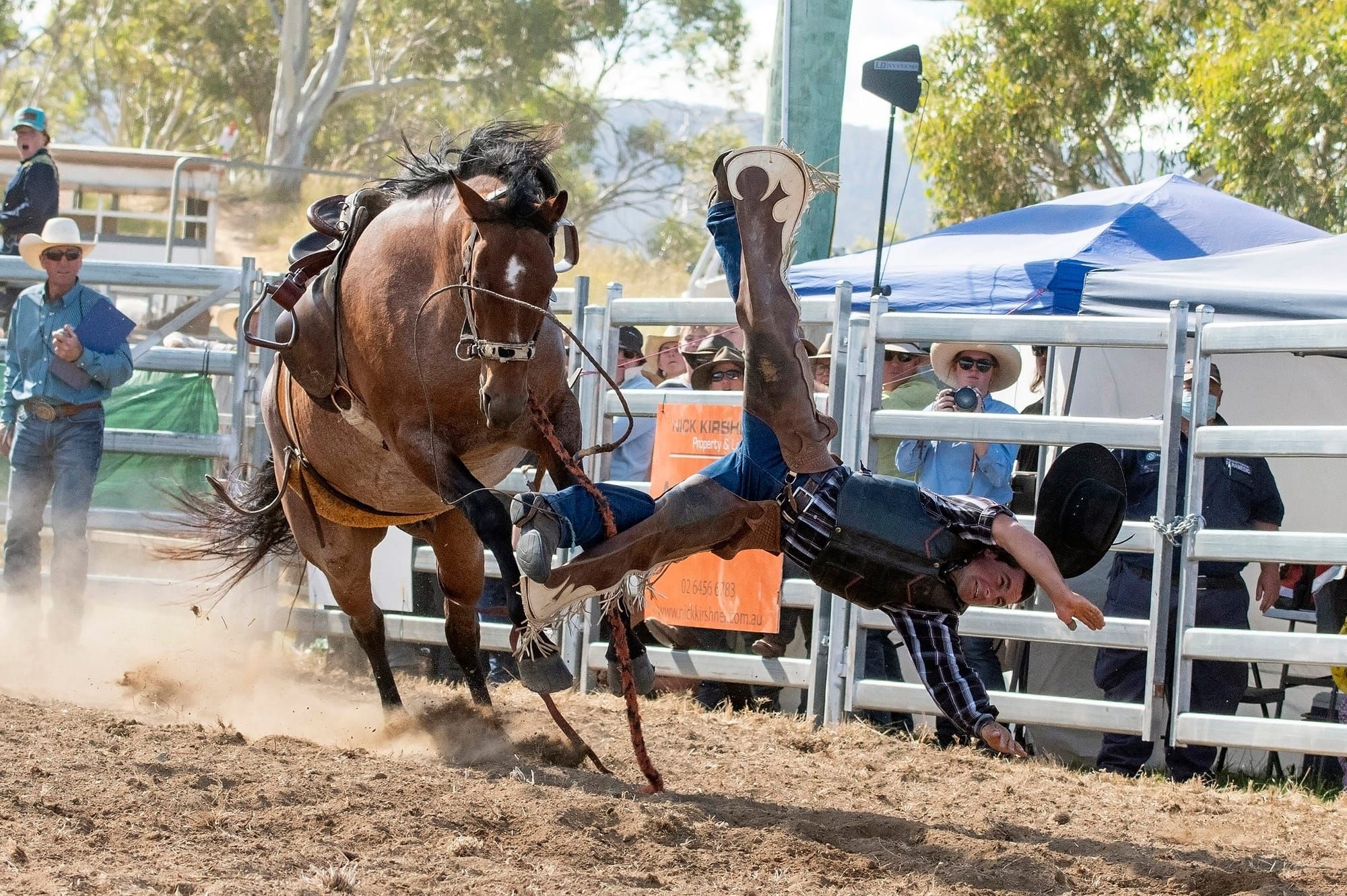 Rodeo Time Bucking Good Entertainment Post image