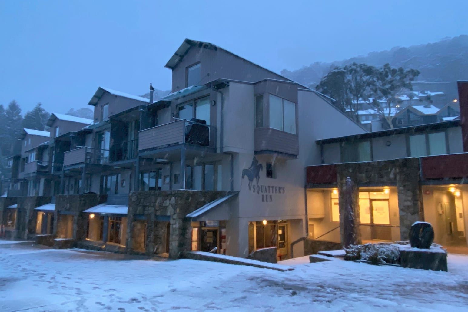 Snow Storm Arrives Post image