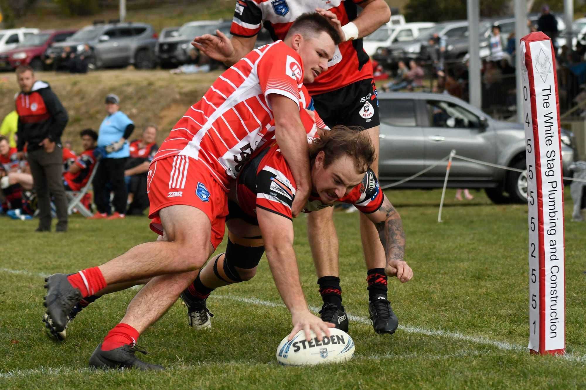 Bears escape after second half scare Post image