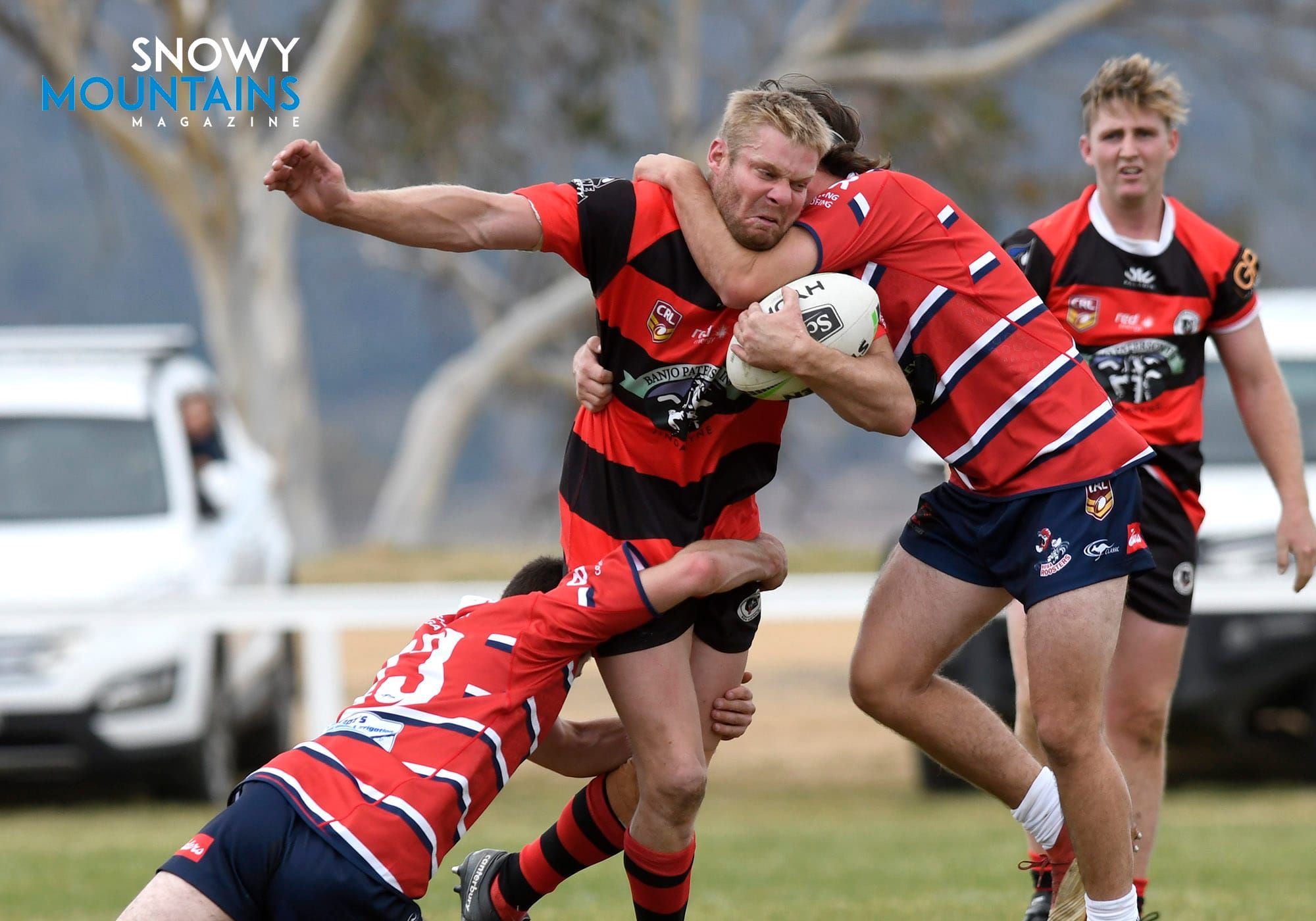 Bear Park Tames Bega Post image