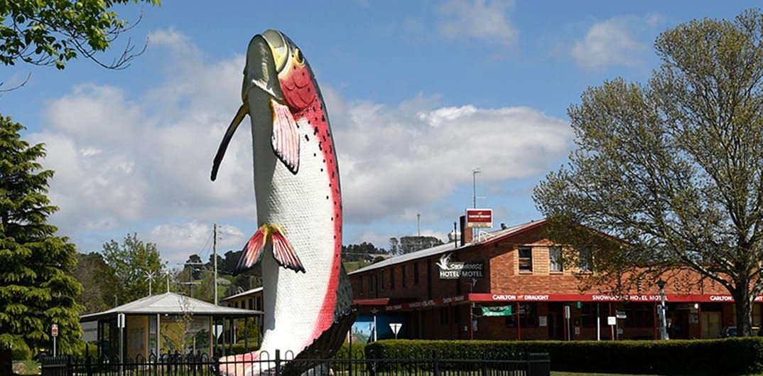 Adaminaby CWA Markets Post image