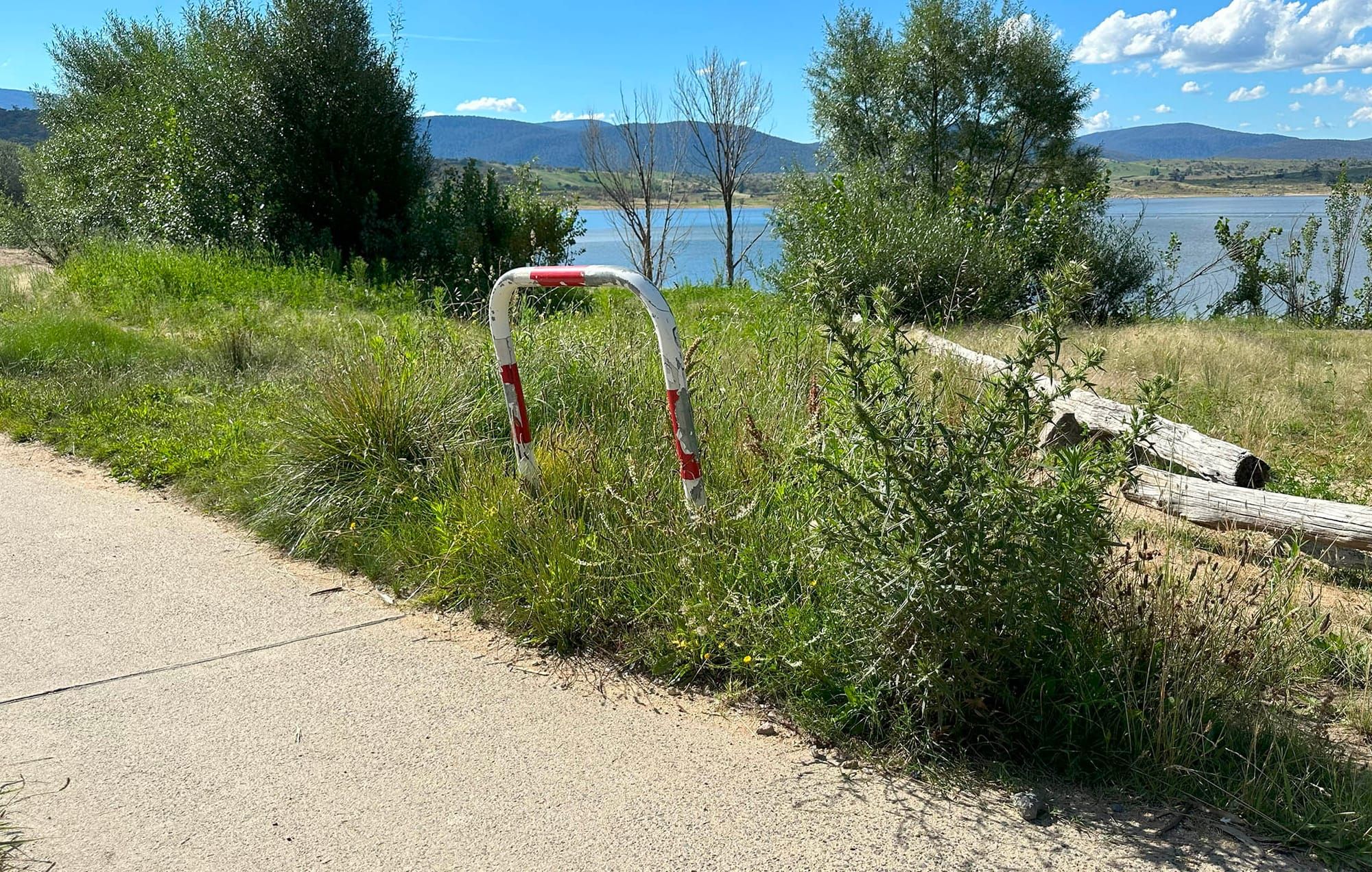 Residents demand action on Lake Jindabyne foreshore Post image