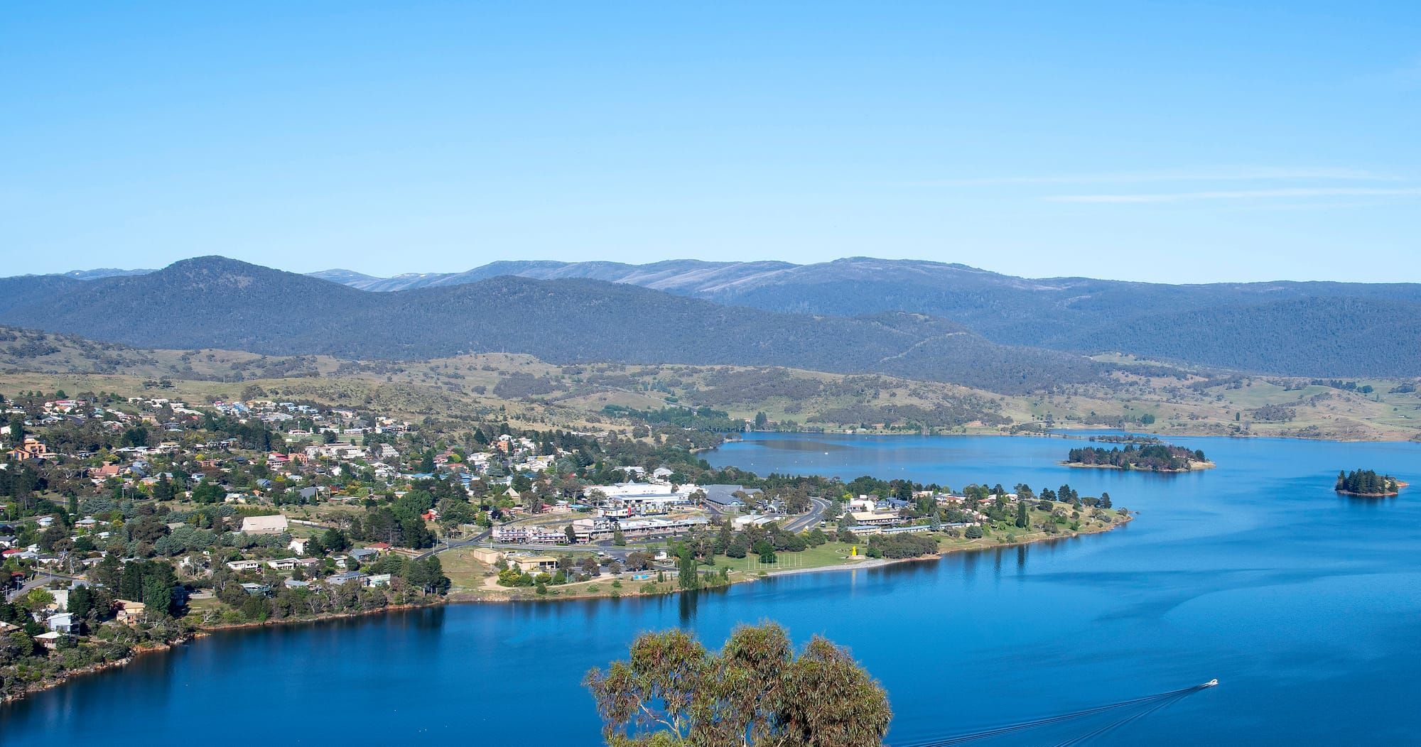 Making An Informed SAP Submission Post image