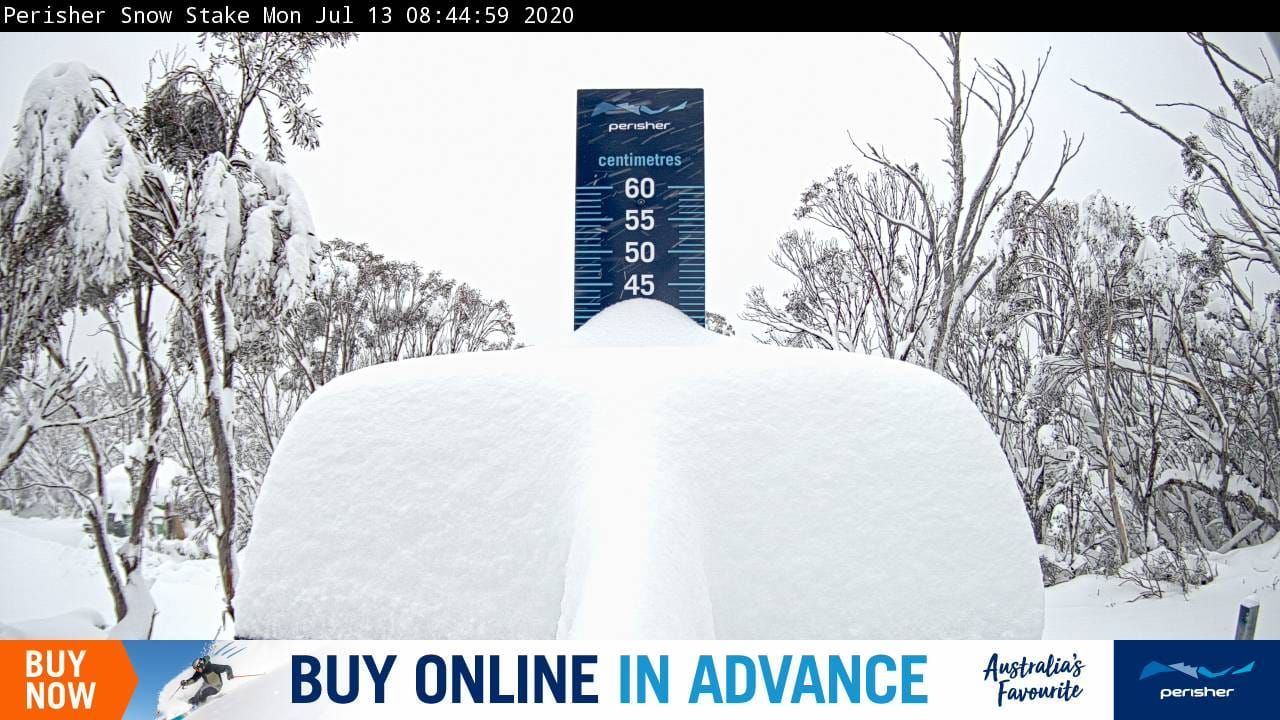 Huge Snow and More to Come Post image