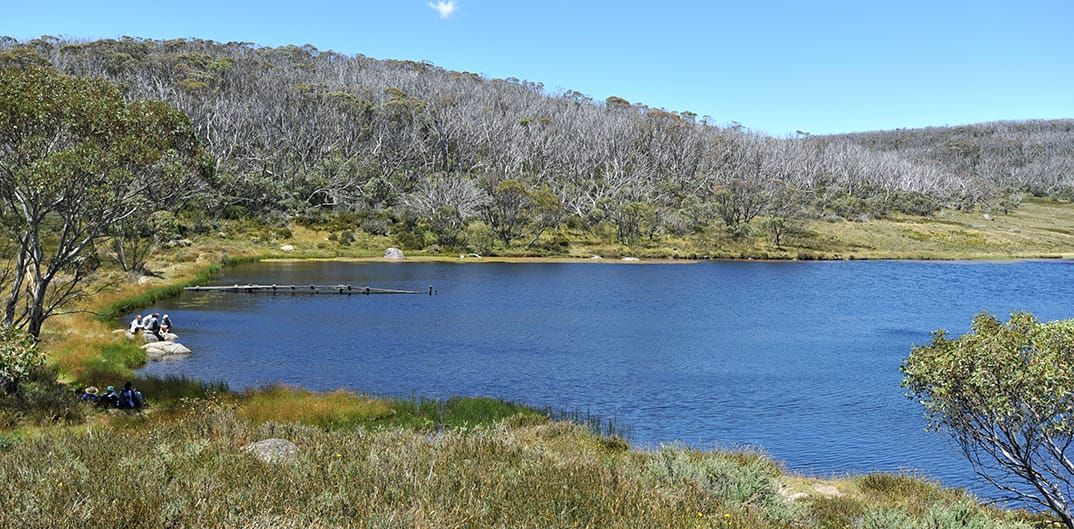 Rainbow Lake Post image