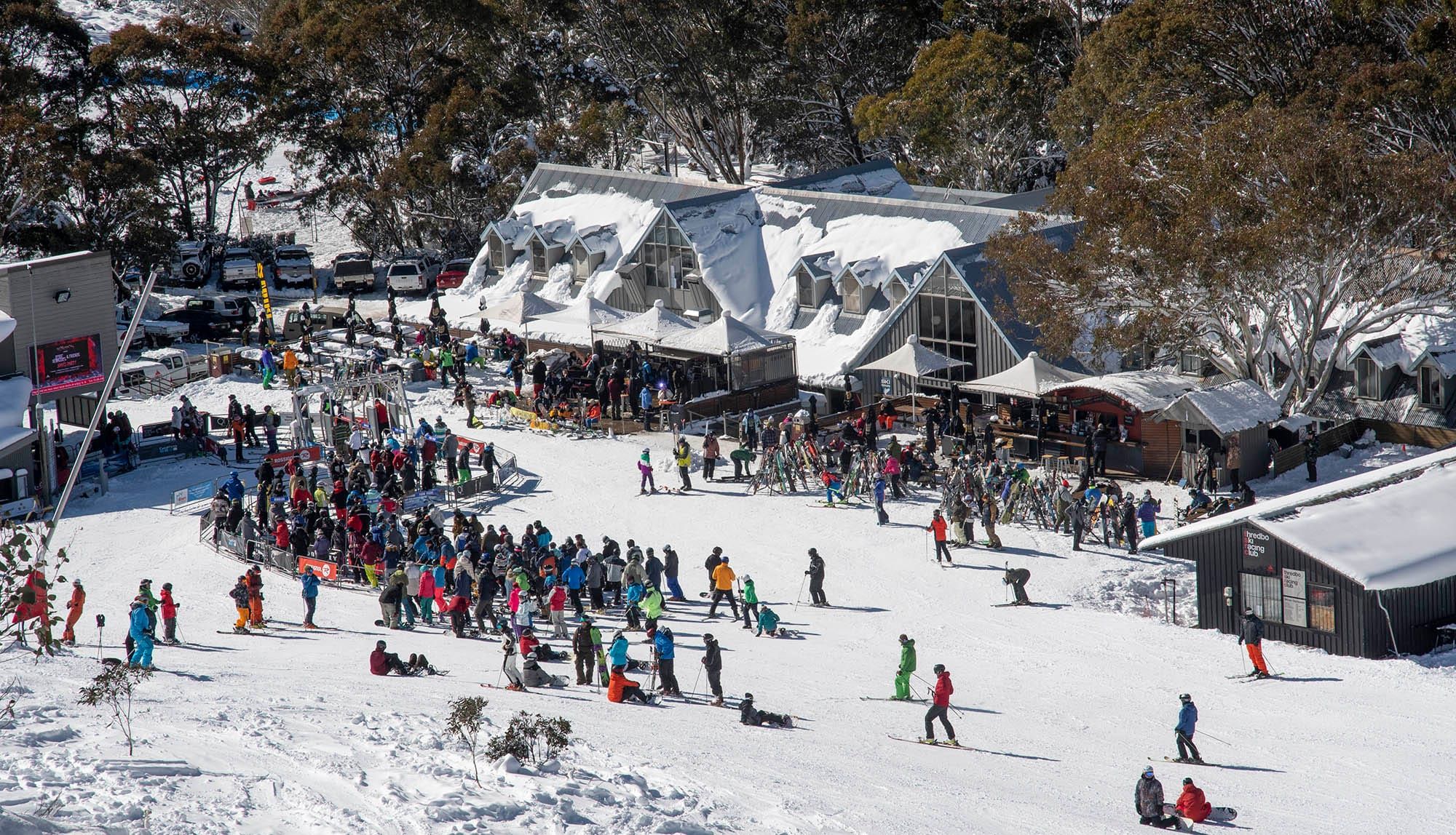 2020 Season with Drastically Reduced Numbers Post image