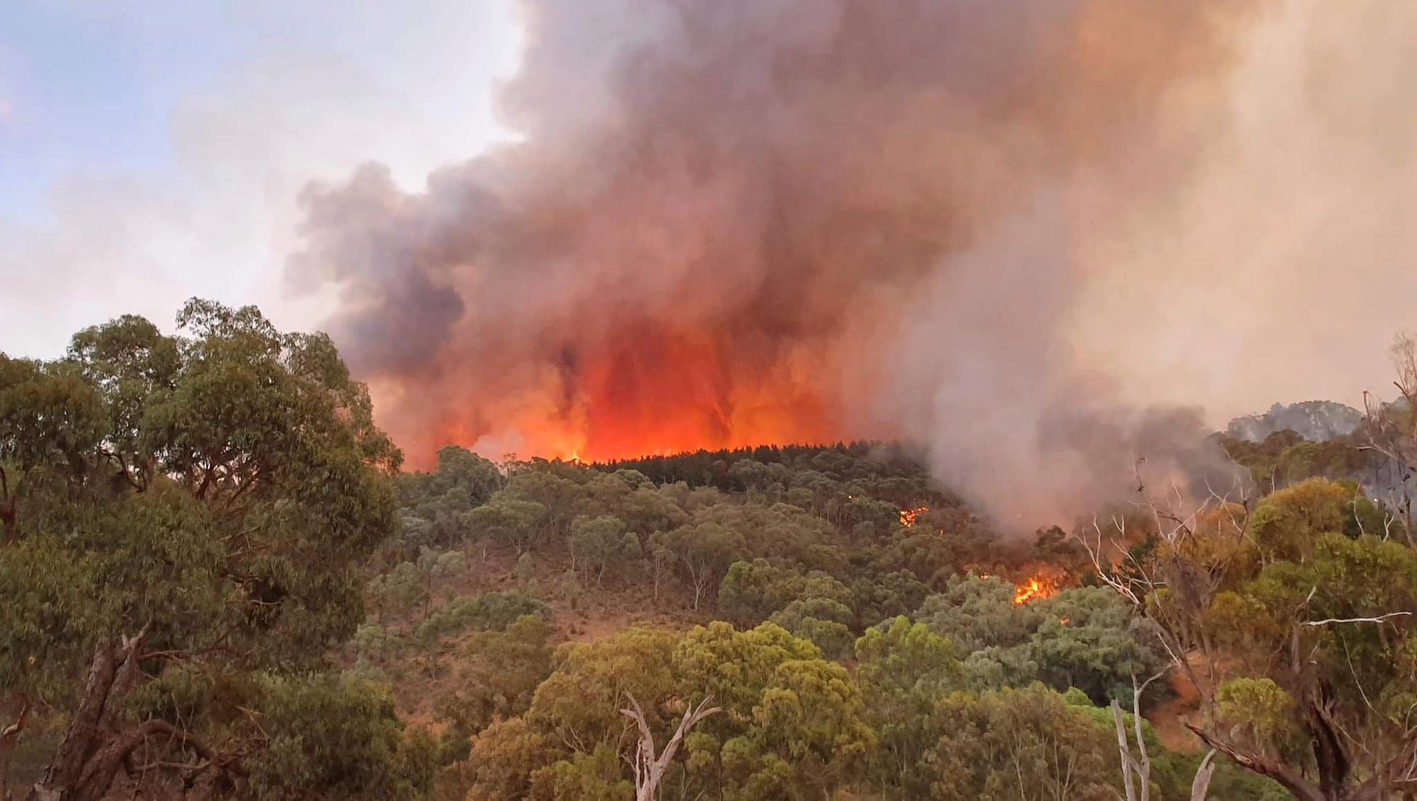 January 13 Bushfire Update Post image