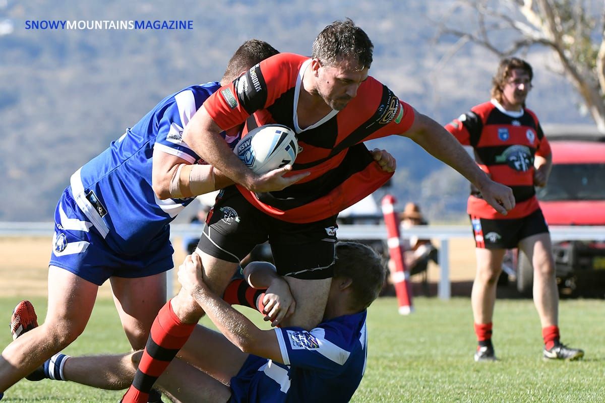 Mixed Success For Bears In First Home Outing Post image