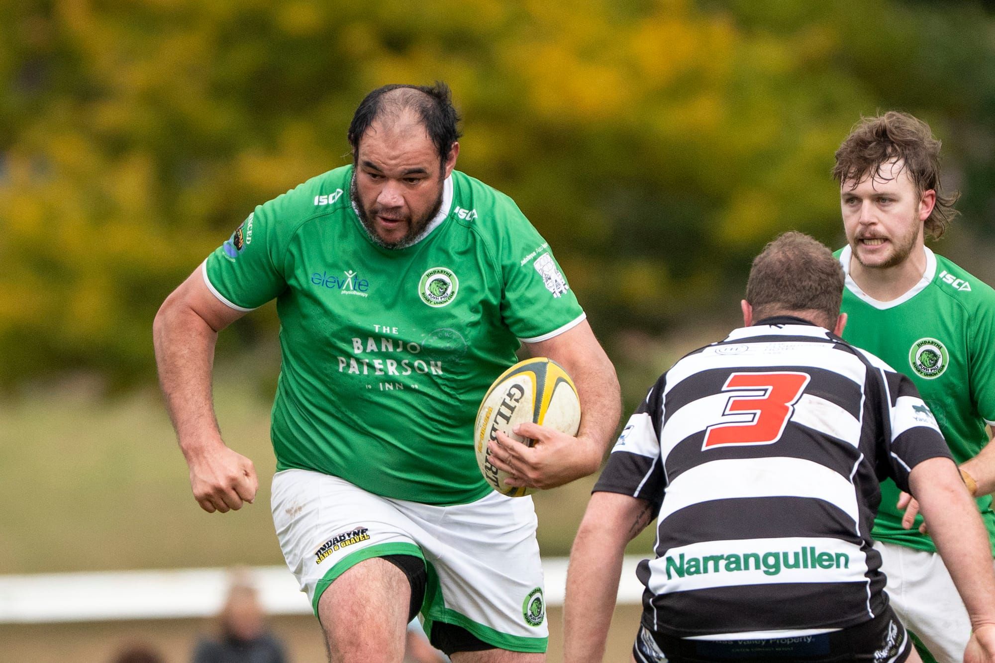 Bushpigs on a roll as they meet old foe Post image