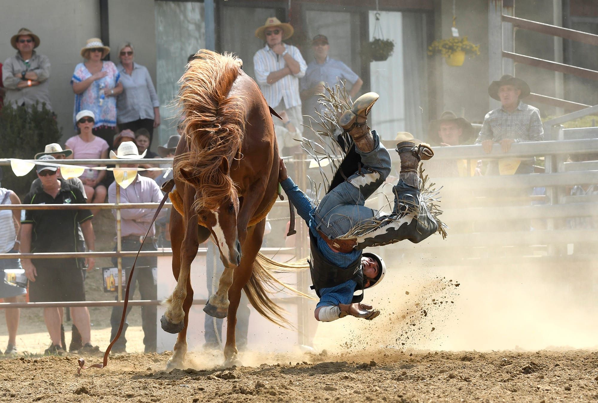 2021 Jindabyne Rodeo Post image