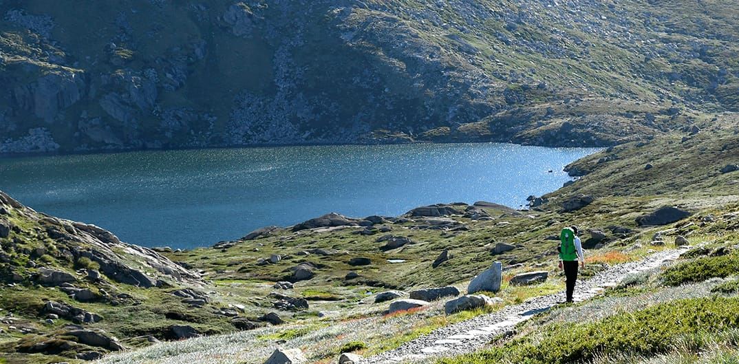 Blue Lake Track Post image