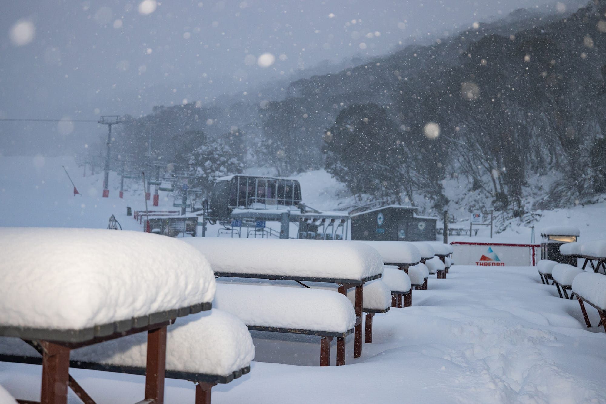 Thredbo to open with best start in decades Post image