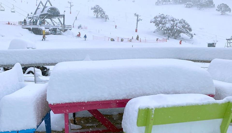 Massive 60cm Plus Snowfall Post image