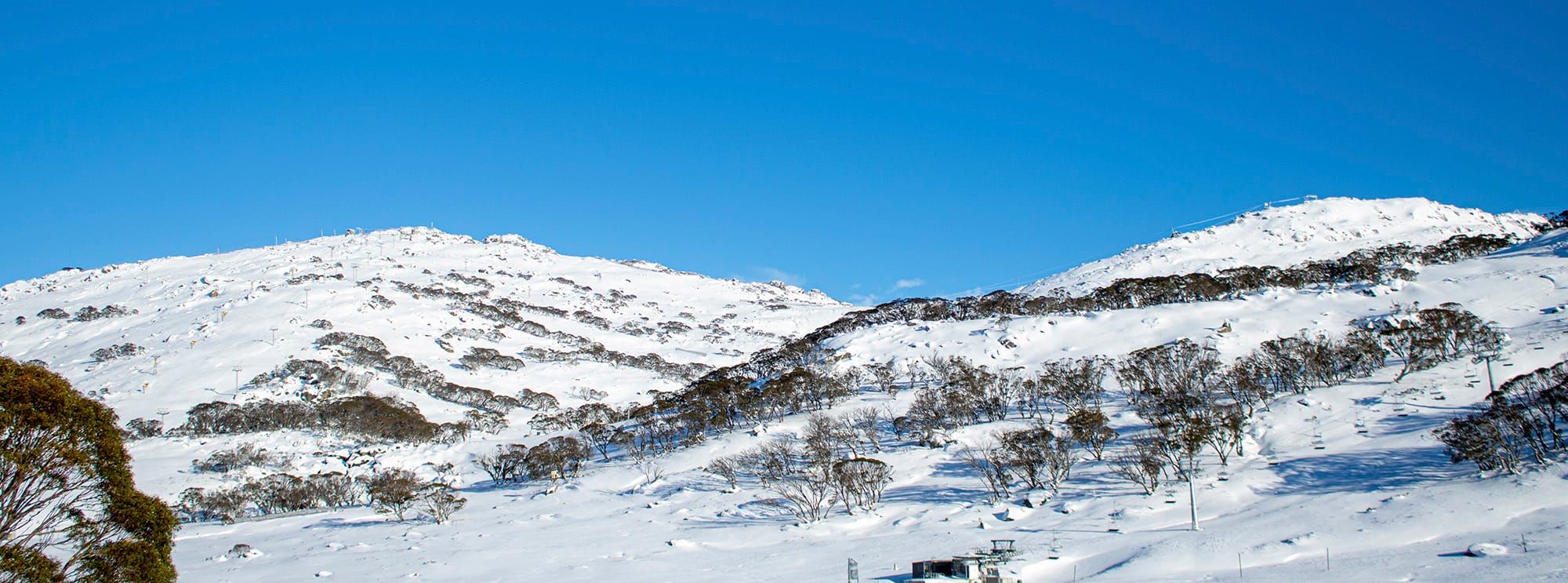 2020 Winter Outlook Post image