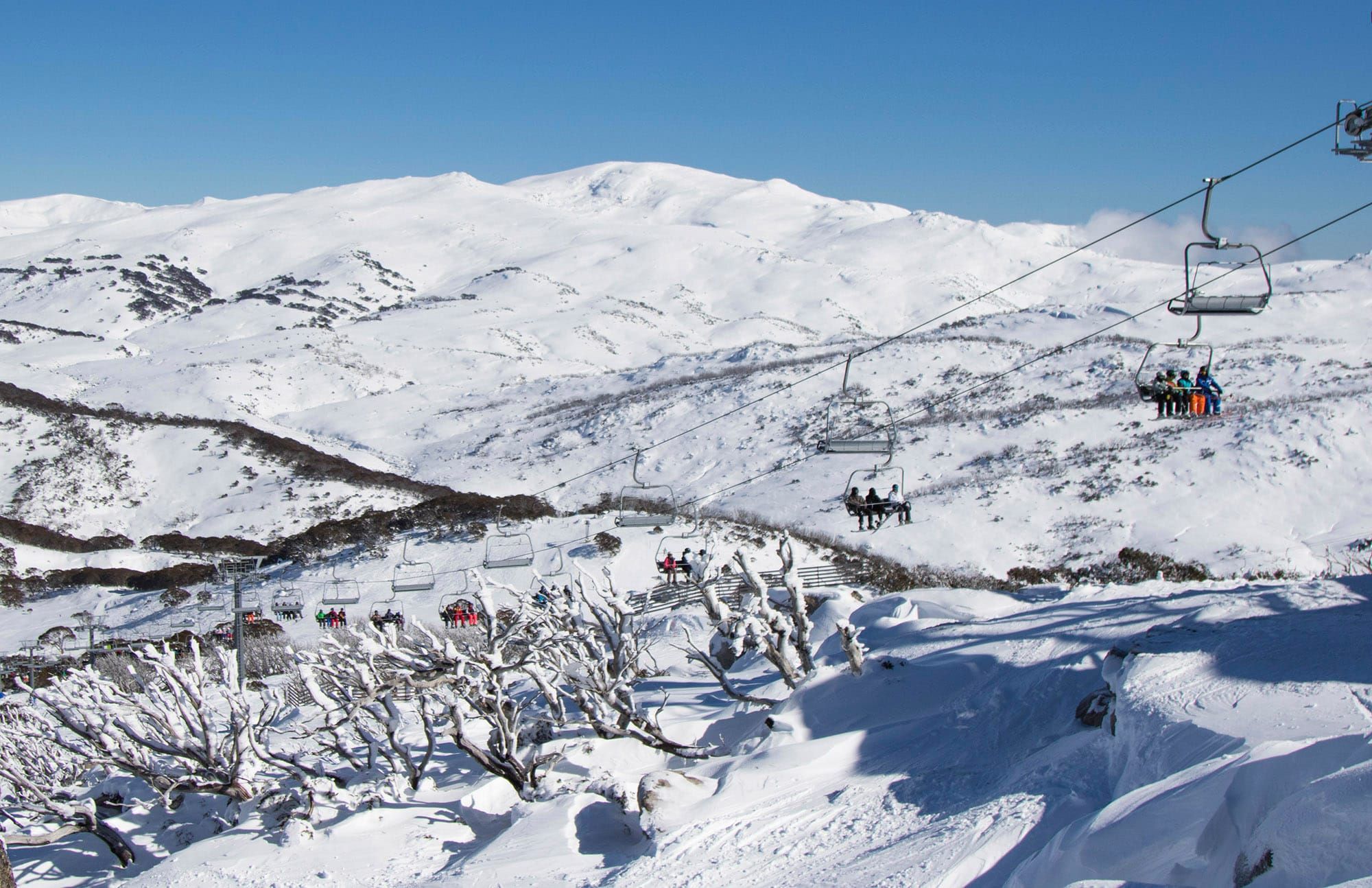 Perisher Lift Ticket Information Post image