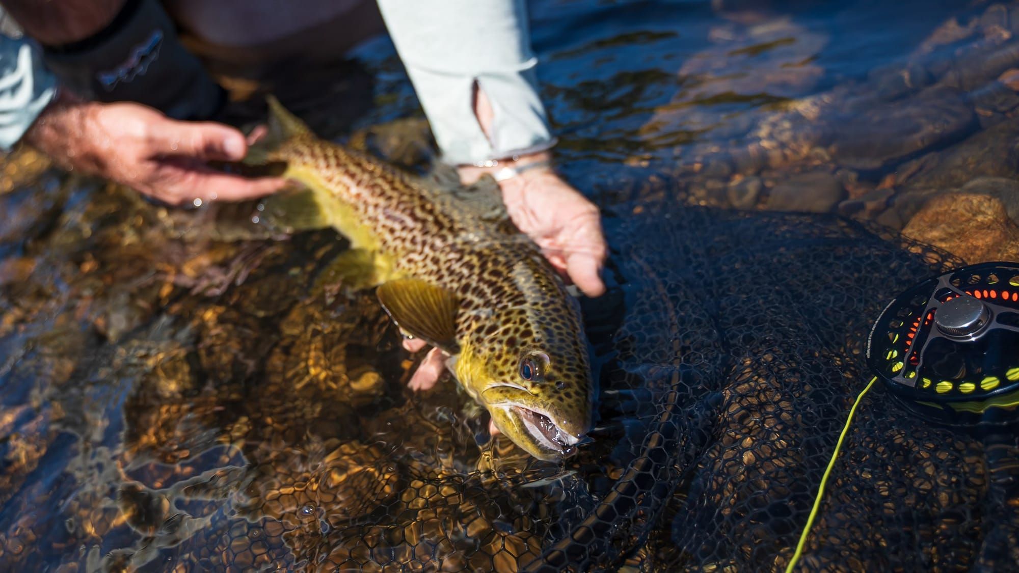 The Joy of Fly Fishing Post image