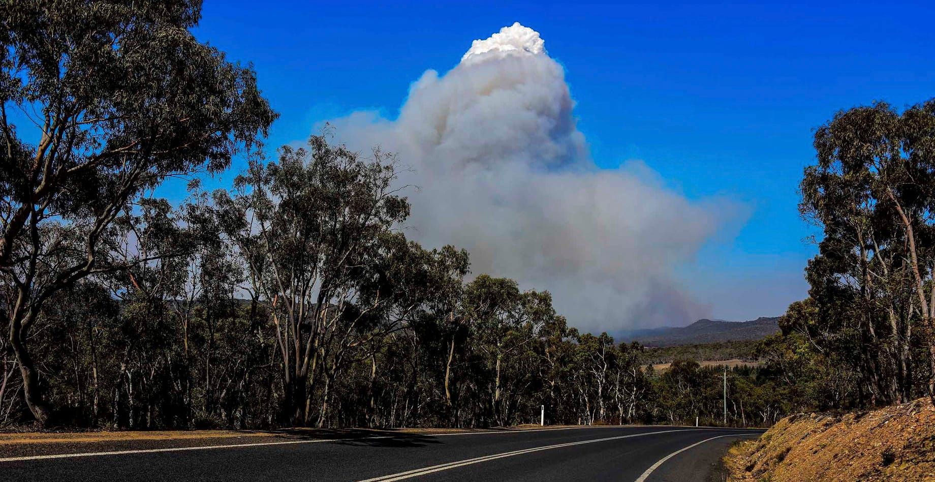 January 11 Bushfire Update Post image