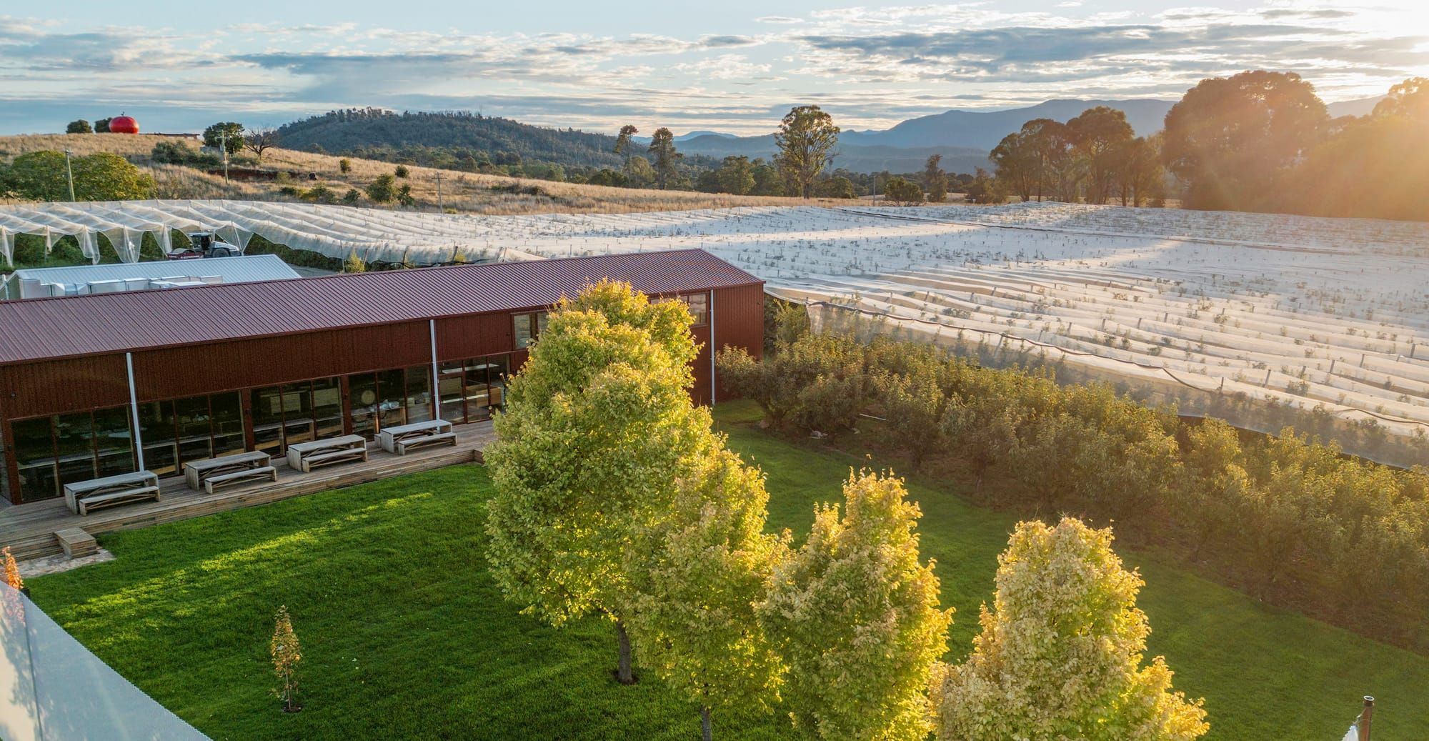 Adelong - Batlow Post image