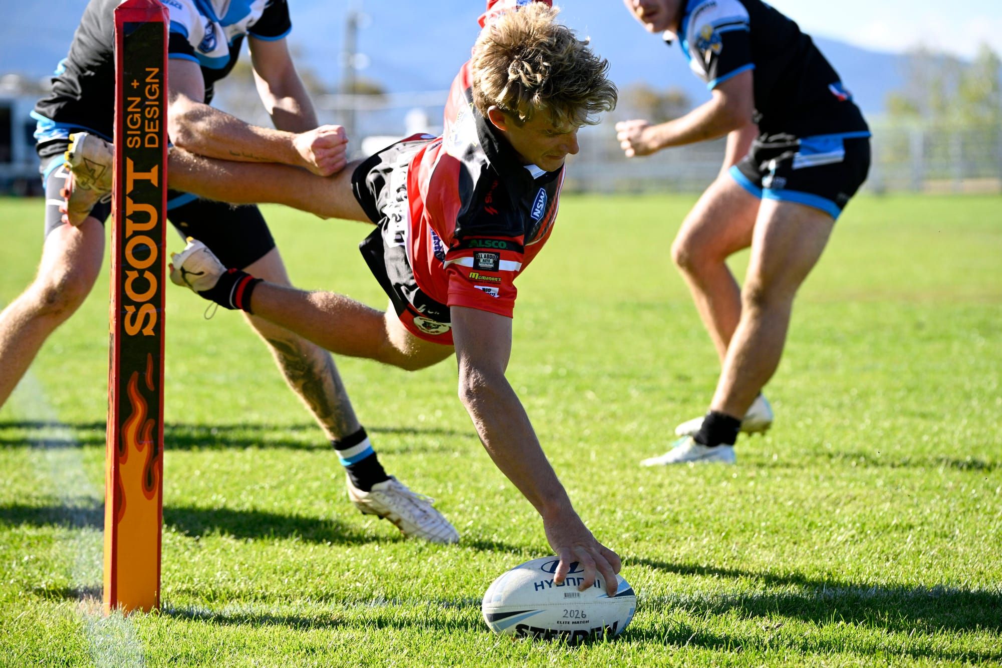 Bears inflict bite for tribute victory Post image