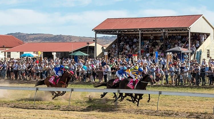 Adaminaby Races 2026 Post image