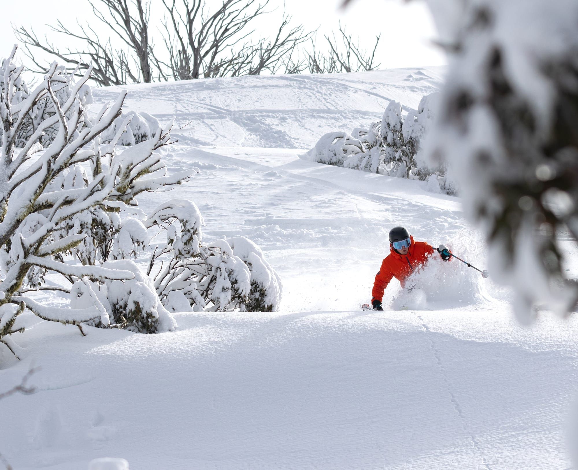 Thredbo To Dead Horse Gap Tour Post feature image