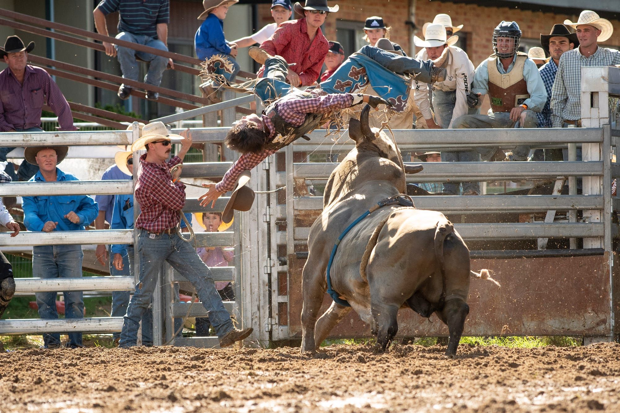 Eight Seconds Of Bull Post feature image