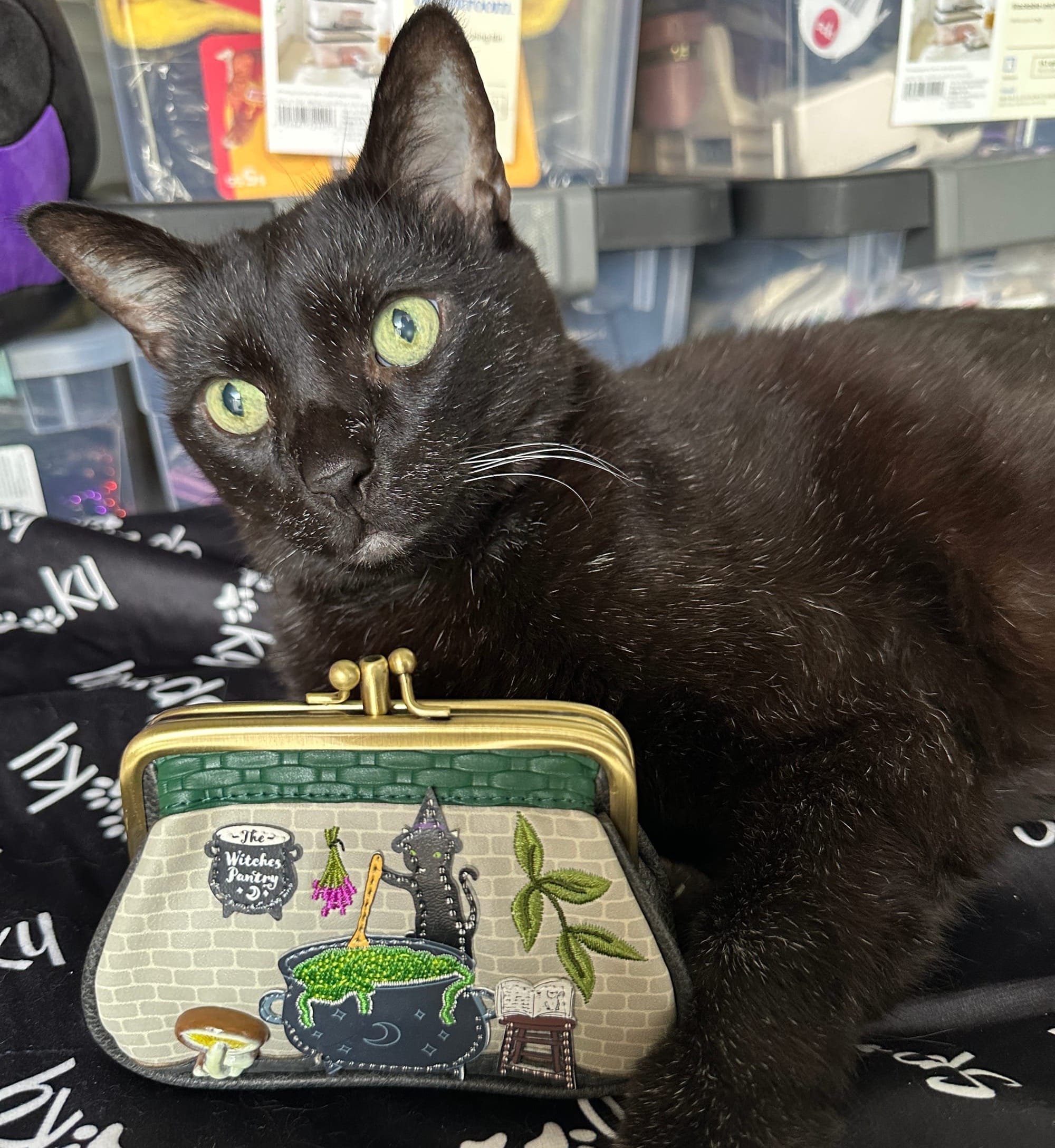Manny Halloween Cat poses with a clipper coin purse from the Vendula London Witches Pantry collection.