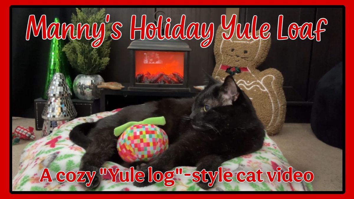 Manny's Holiday Yule Loaf, a cozy Yule Log-style video