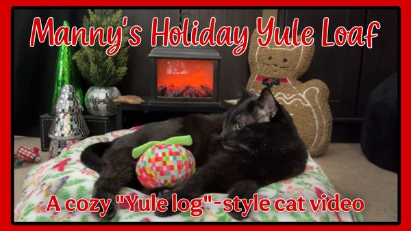 Manny's Holiday Yule Loaf, a cozy Yule Log-style video