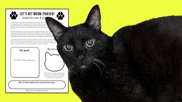 January free printable: Let's Get MEOW-tivated!