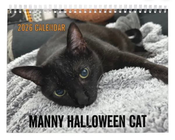 Manny's 2026 calendar is here!