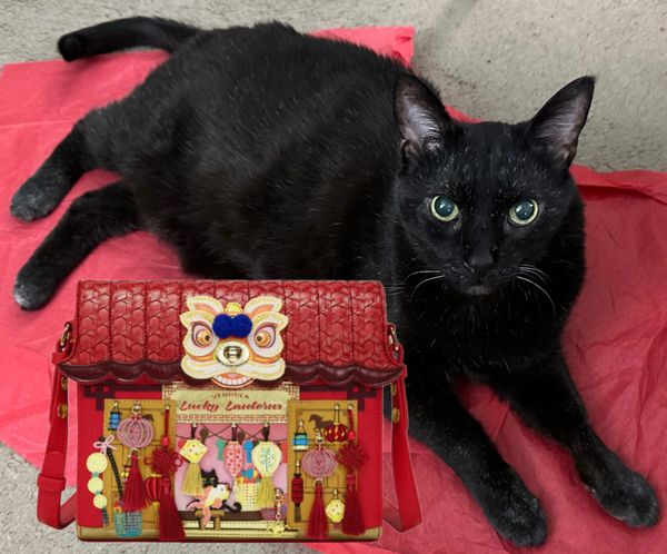 Celebrate Lunar New Year with Vendula London Lucky Lanterns: The Perfect Black Cat Bags for Good Luck