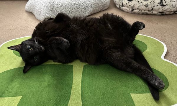 March free gift & Friday the 13th treats!