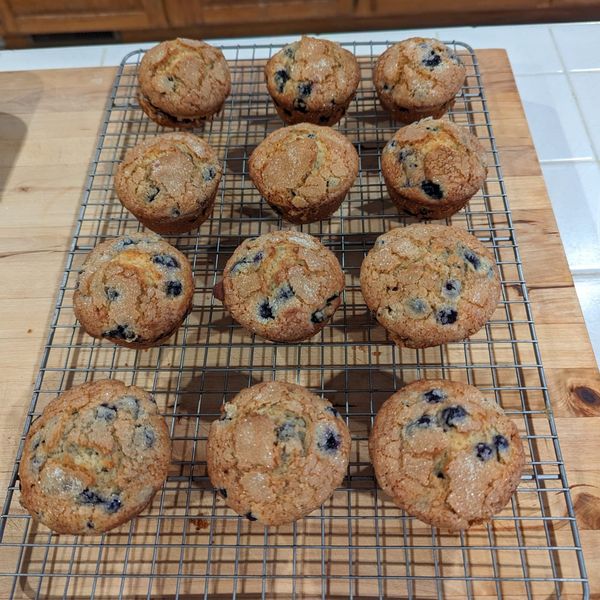 Blueberry Muffins