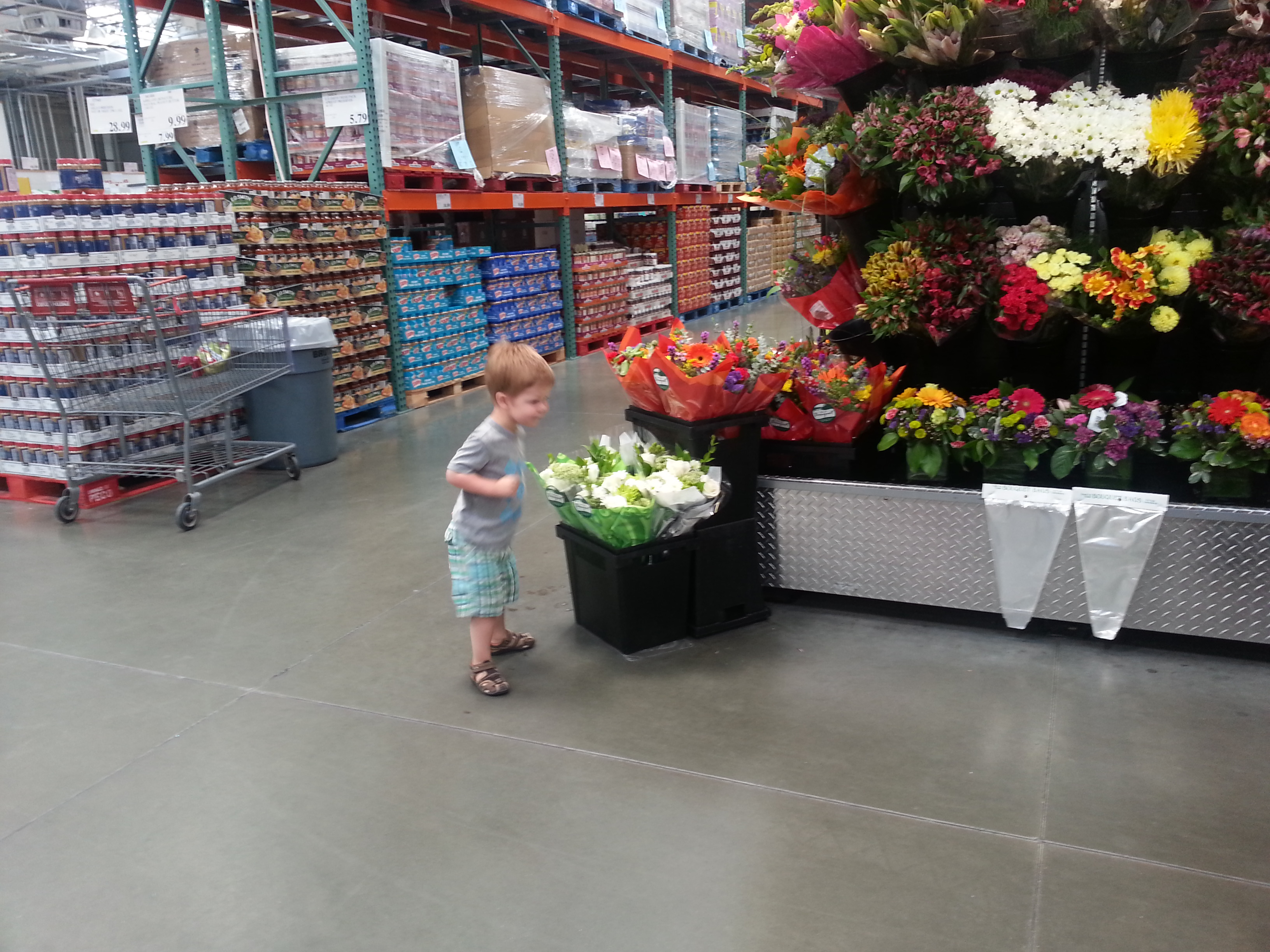 Roman smelling flowers