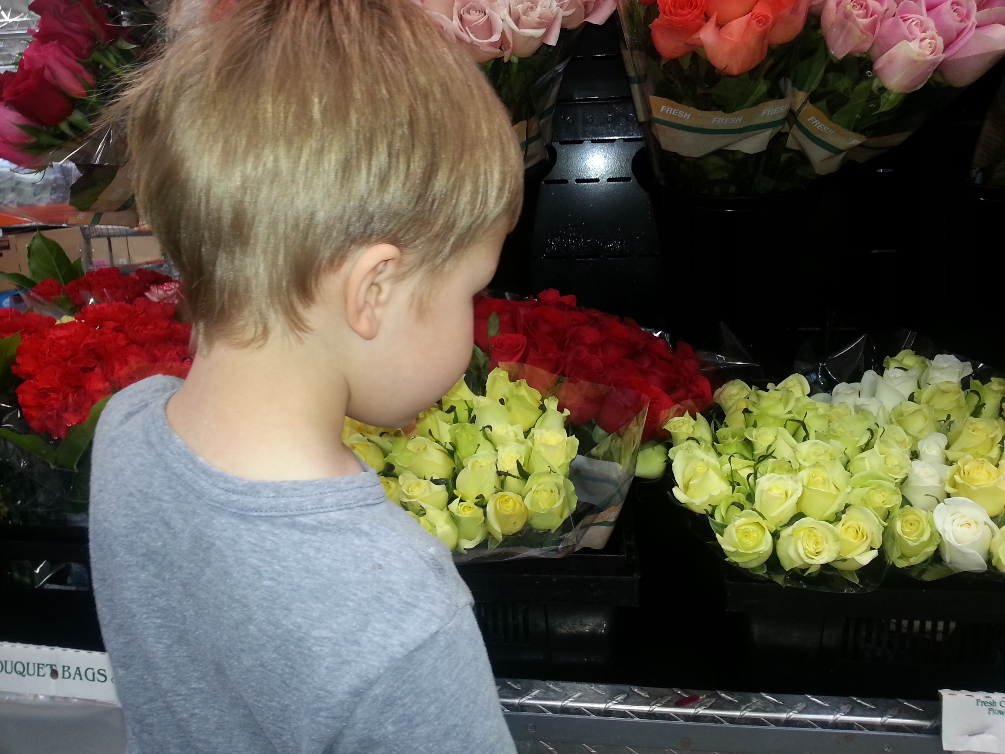 Roman smelling flowers