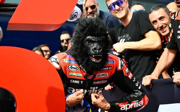 Box War après Portimao : qui est le meilleur dans chaque équipe ?