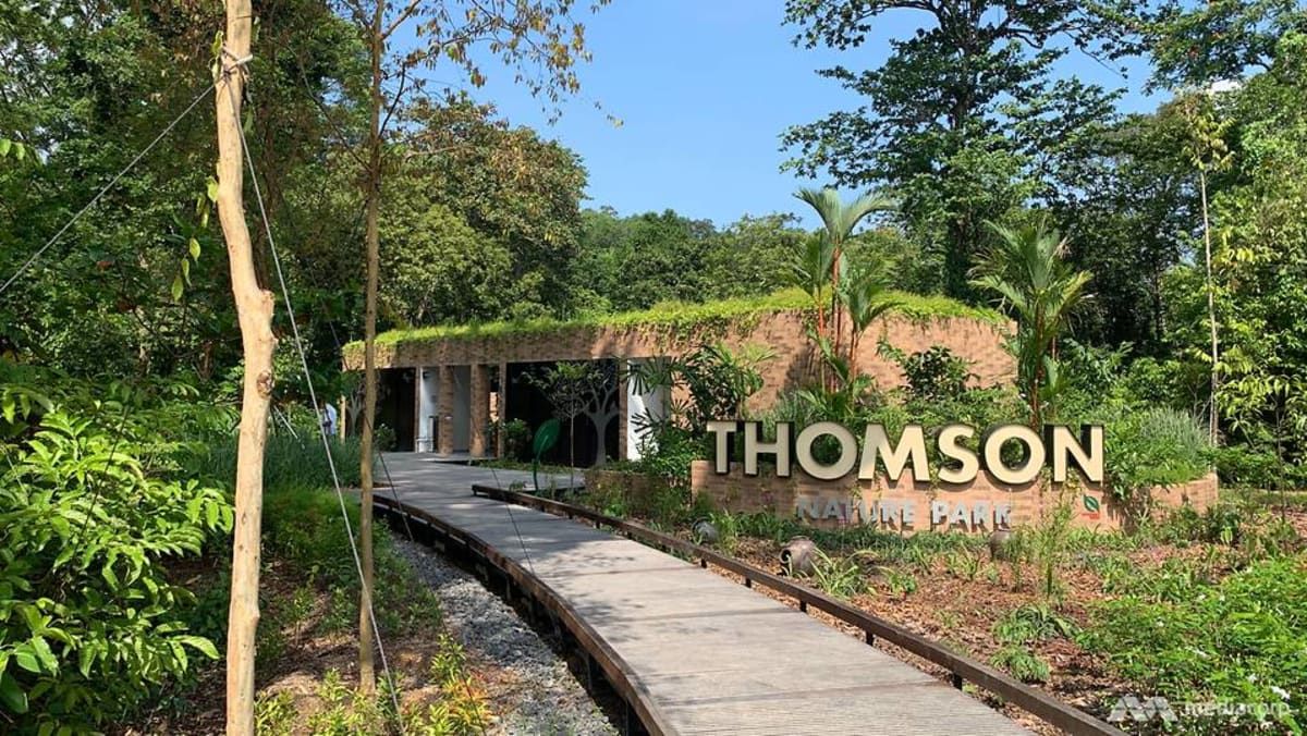 Upper Thomson Condos 2026: The Complete Buyer's Guide