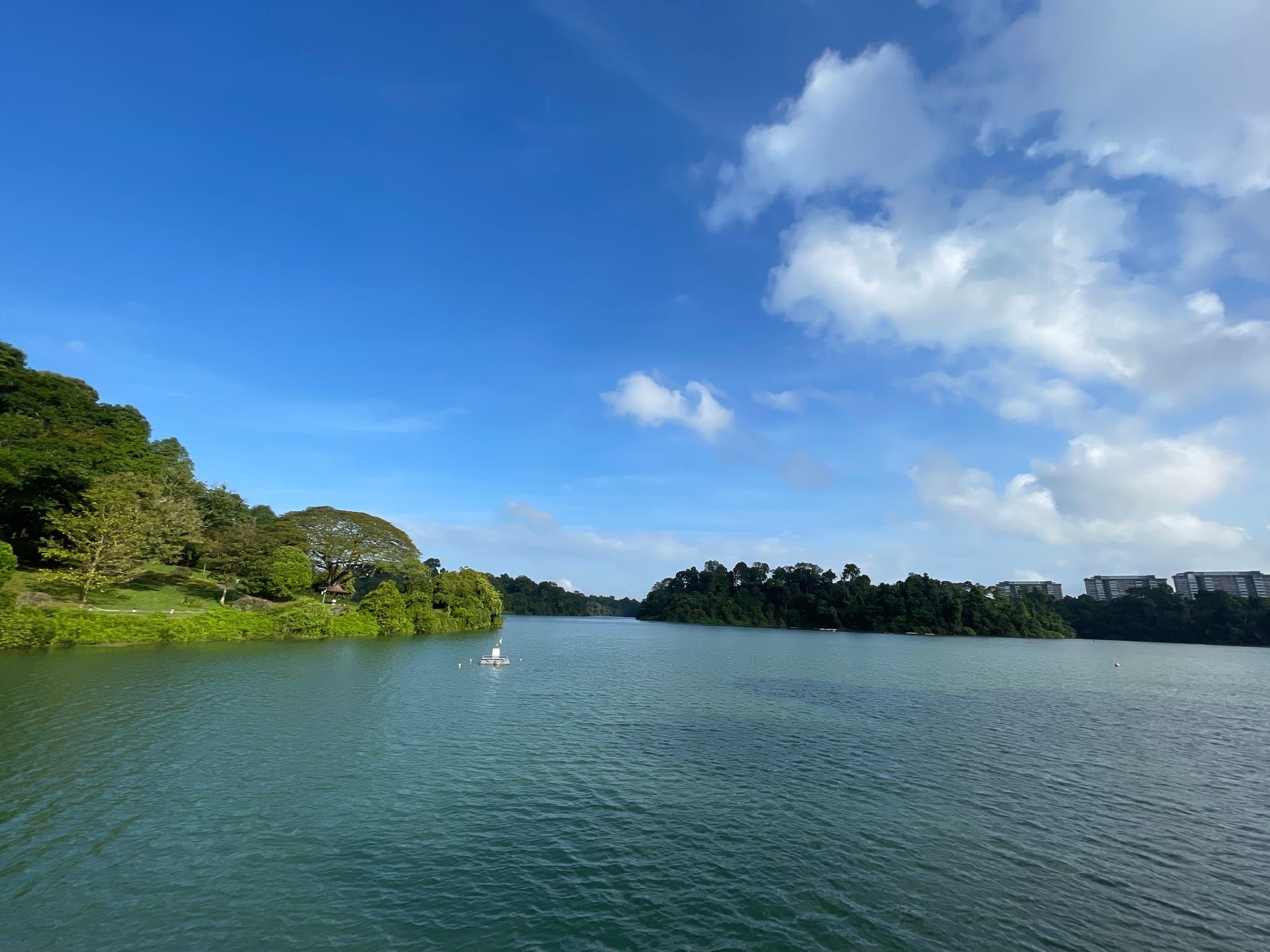 MacRitchie Nature Premium: What is the 2026 Value?