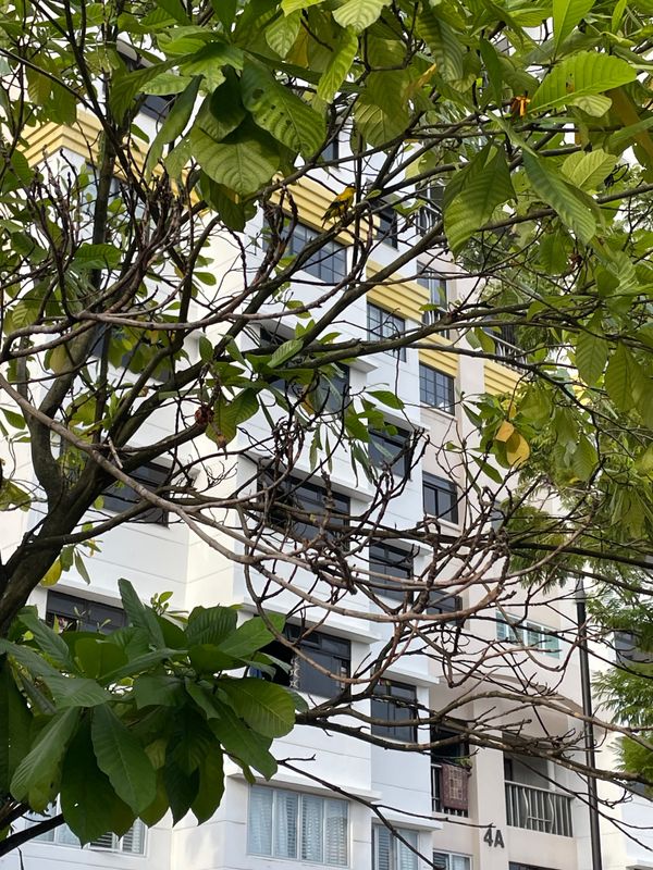 Your HDB Lease Has 55 Years Left. Here's What That Costs You.