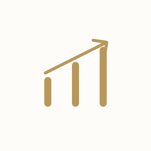 Investor Analysis