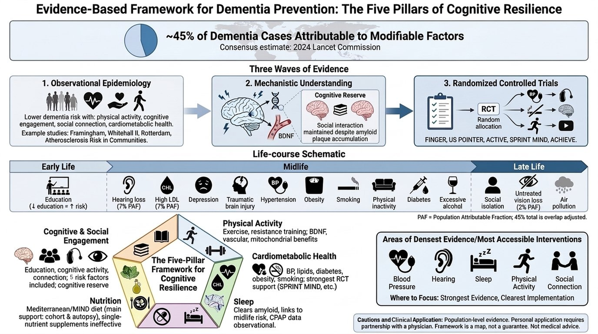 What the evidence on dementia prevention actually shows