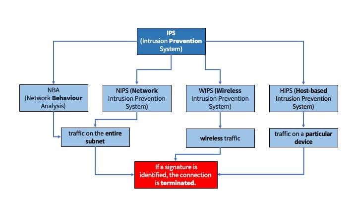 IPS.jpg