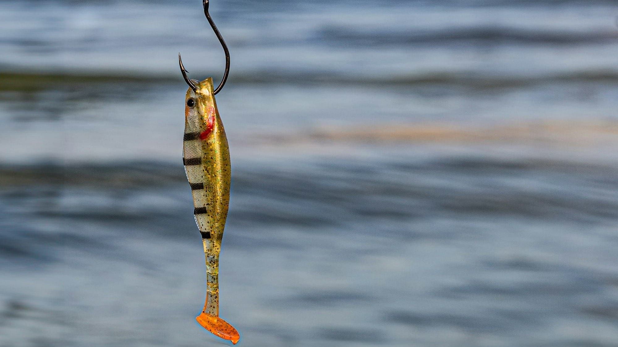 Ever Wondered What’s Behind a Phishing Email?