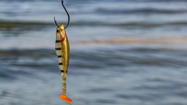 Ever Wondered What’s Behind a Phishing Email?