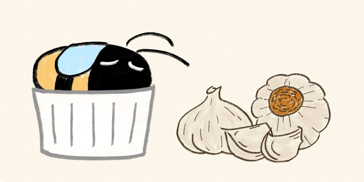 spiced garlic confit