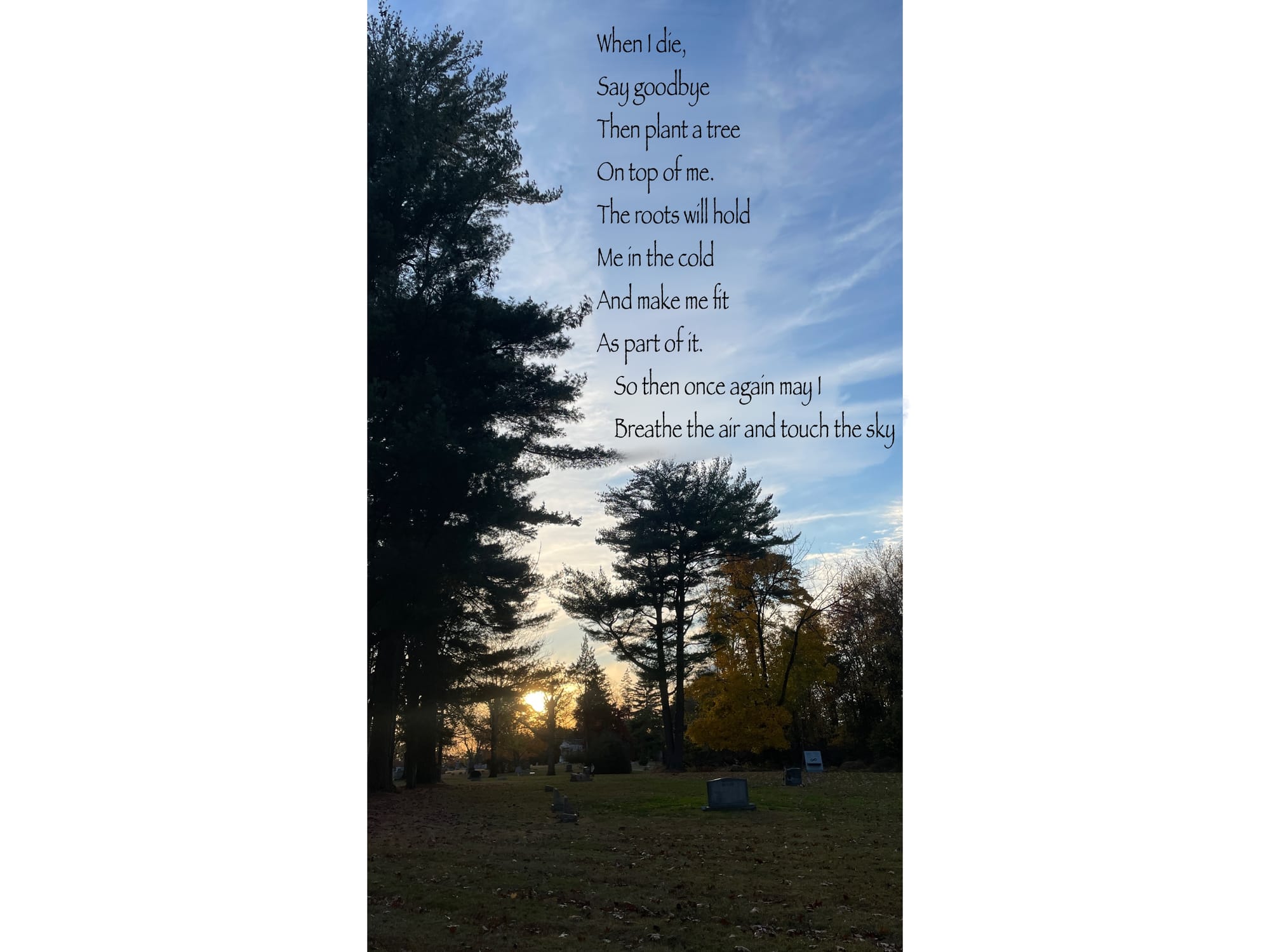 A stand of trees in a graveyard at sunrise with a poem: "When I die, say goodbye and plant a tree on top of me. The roots will hold me in the cold and make me fit as part of it. So then once again may I breathe the air and touch the sky."
