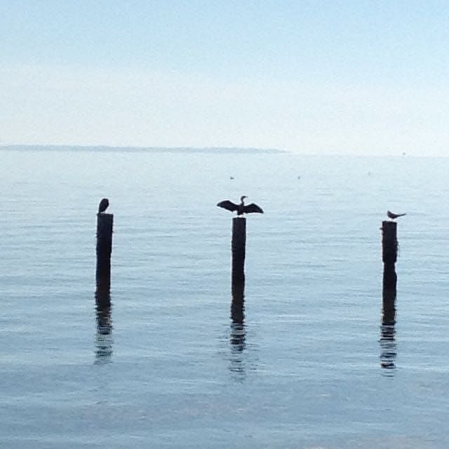 Silent Dignity is Cool